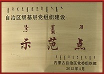 自治區(qū)基層黨組織建設(shè)示范點(diǎn)