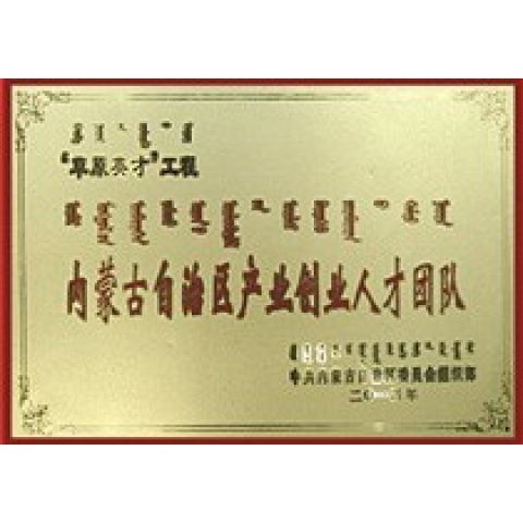 內蒙古自治區(qū)產(chǎn)業(yè)創(chuàng)業(yè)人才團隊