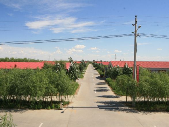 養(yǎng)殖基地